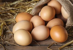 eggs